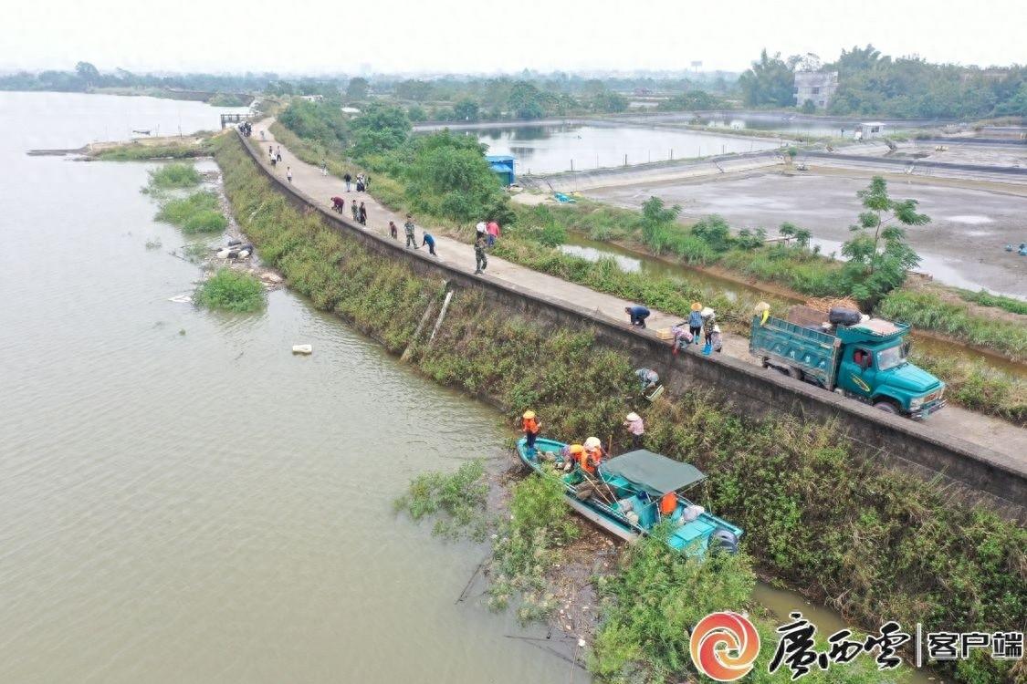 钦南区干部群众全力清理海漂垃圾，守护美丽海湾