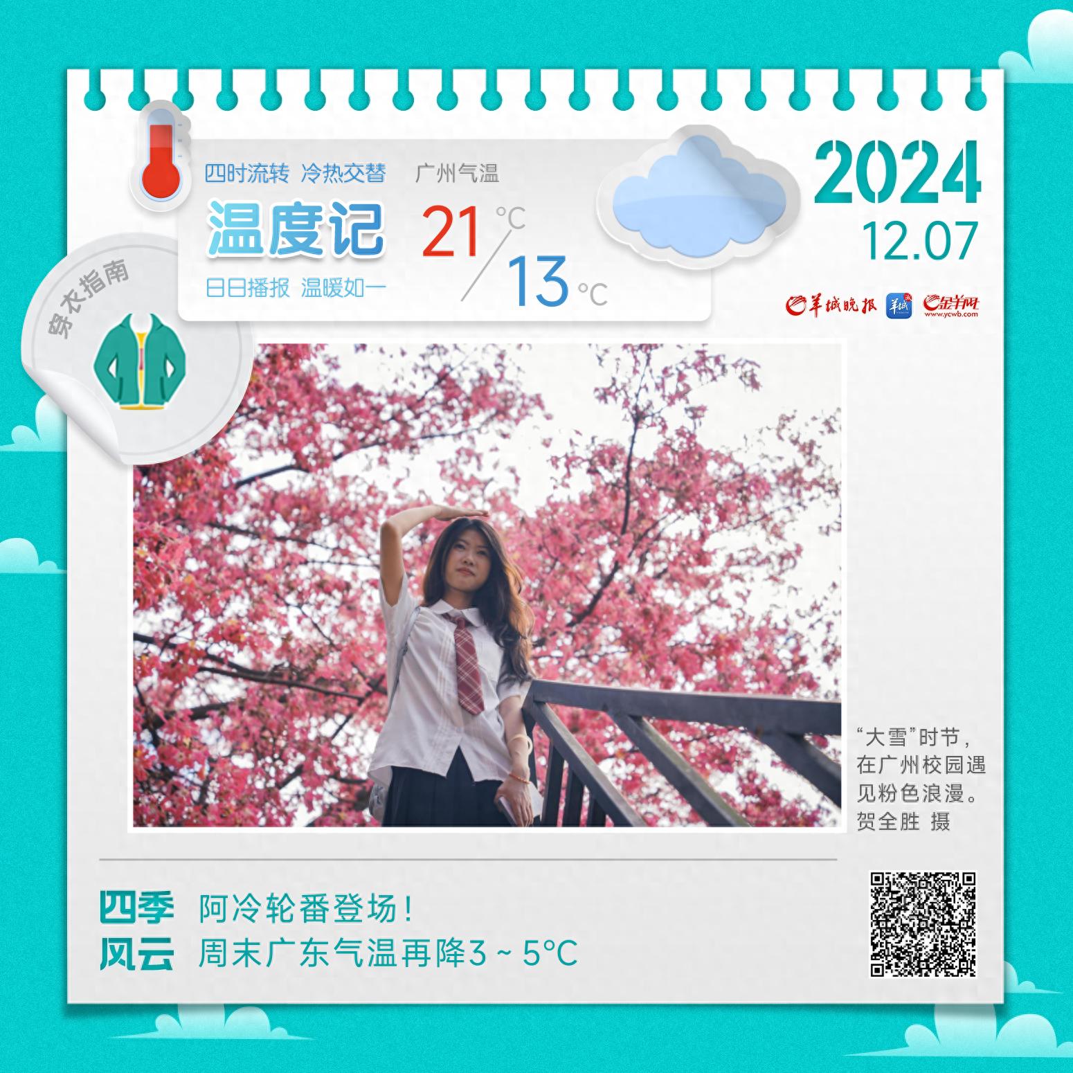 广州软件学院异木棉盛开，粉色海洋惊艳校园，冷空气来袭，气温将震荡下滑  第1张