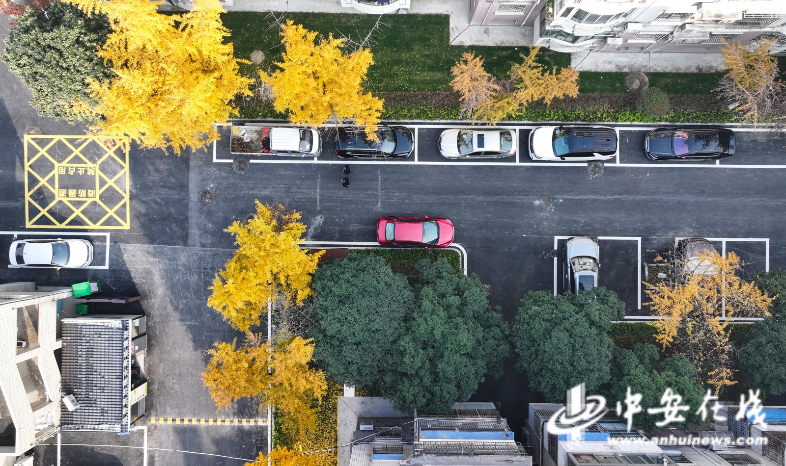 合肥老旧小区大变身！19个小区、144栋楼、4595户居民的幸福新生活即将开启  第4张
