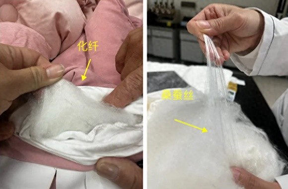 天气转凉，如何挑选一款满意的蚕丝被？专家科普指南助你一臂之力  第1张