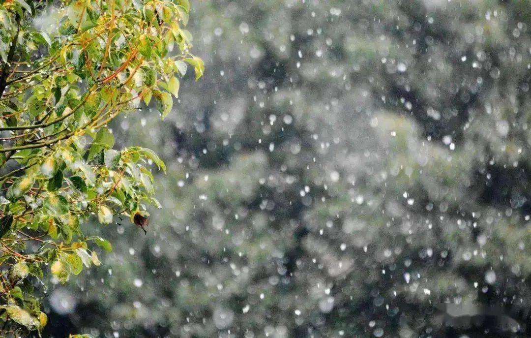 贵州湿冷攻击持续发力，未来三天阴雨不断，你准备好了吗？  第2张