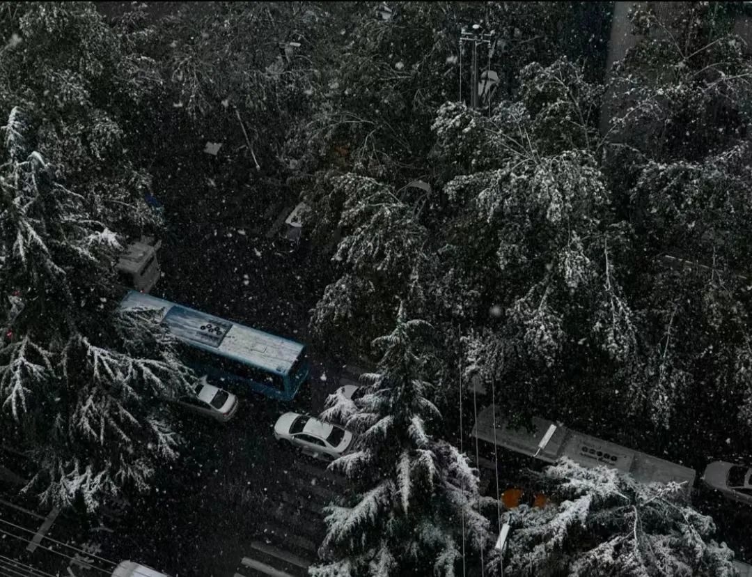 西安即将迎来今冬初雪，新一轮降雪覆盖西北大部，你准备好了吗？  第2张