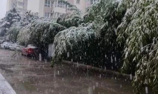 西安即将迎来今冬初雪，新一轮降雪覆盖西北大部，你准备好了吗？  第4张