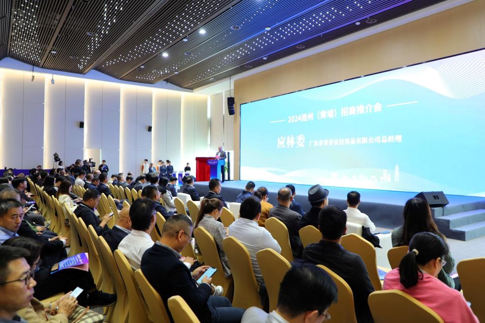 115.6亿投资落地！连州招商会引爆山海共赢新篇章  第3张