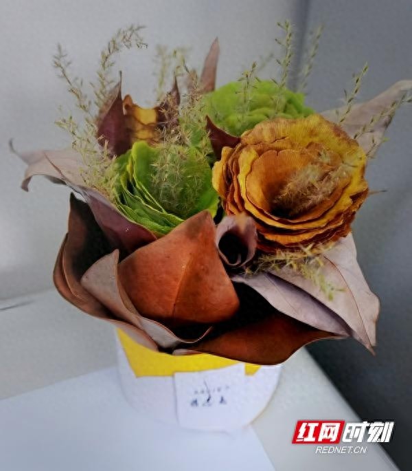 落叶也能变艺术？张家界航空学院这场创意大赛让你大开眼界