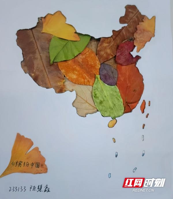 落叶也能变艺术？张家界航空学院这场创意大赛让你大开眼界  第2张