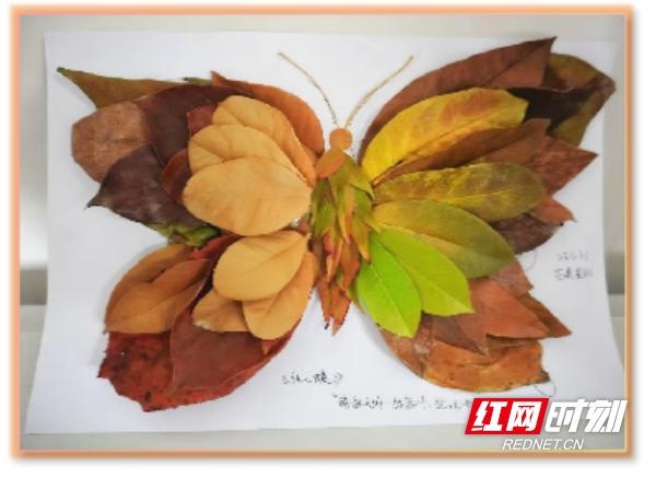 落叶也能变艺术？张家界航空学院这场创意大赛让你大开眼界  第3张