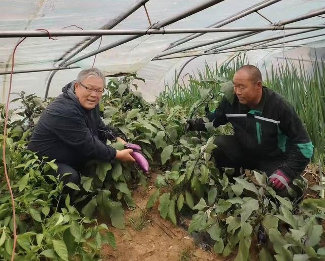 寒冬中的绿色奇迹：戍边牧民如何在家中种出新鲜蔬菜？  第2张