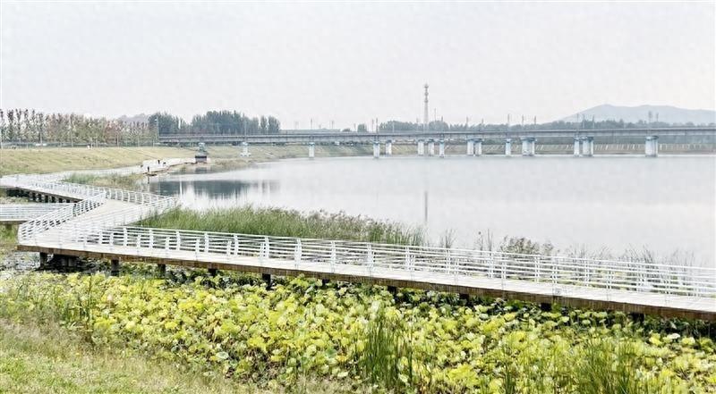 国庆假期必去！周村白云湖湿地公园，让你领略百年商埠的新魅力  第1张