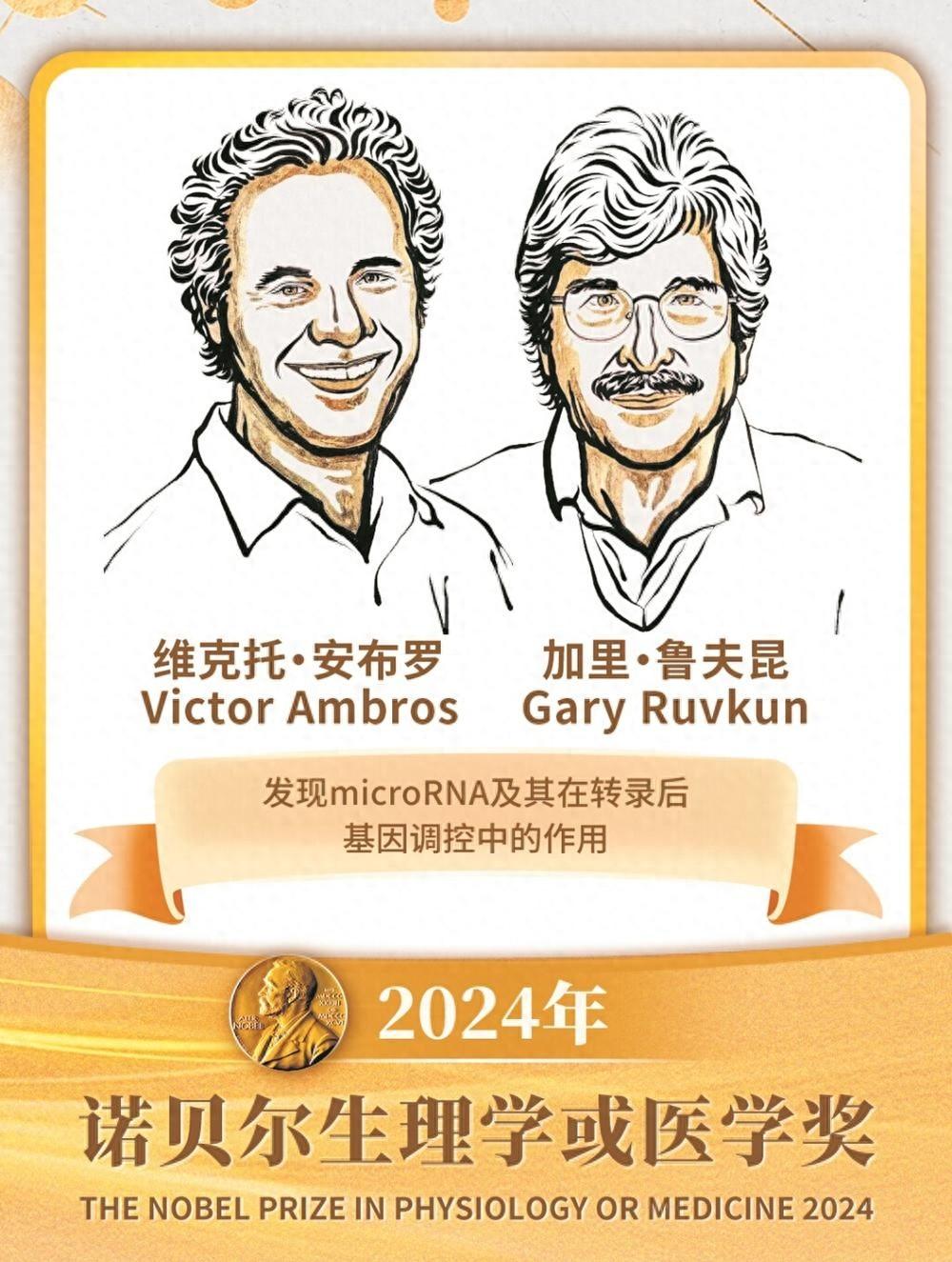 2024 年诺贝尔生理学或医学奖揭晓！微小核糖核酸究竟是什么？