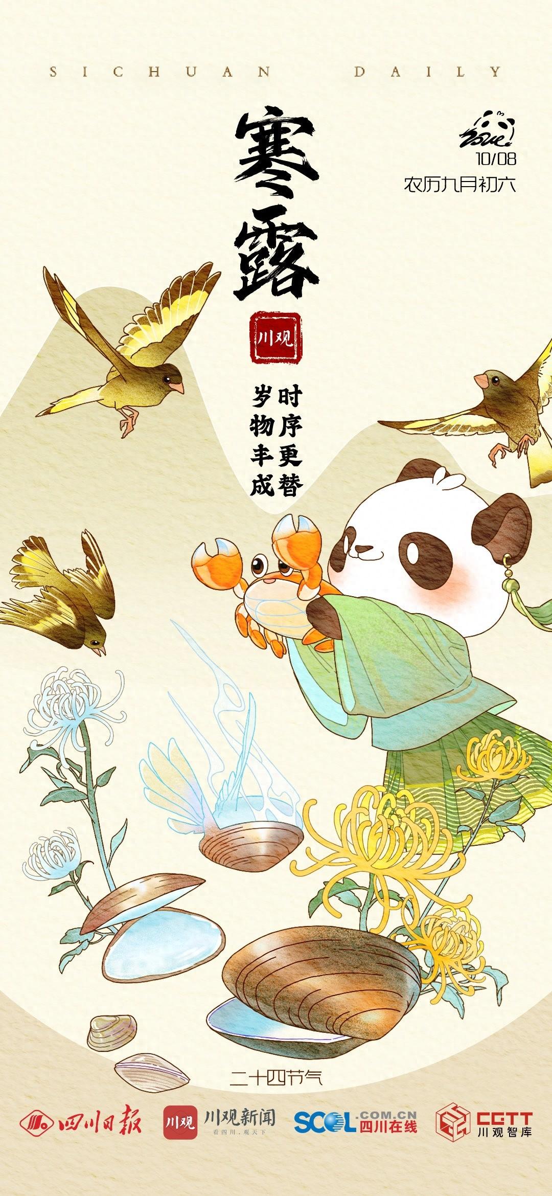 寒露至，鸿雁来宾，雀入大水为蛤，菊有黄华，你知道吗？  第1张