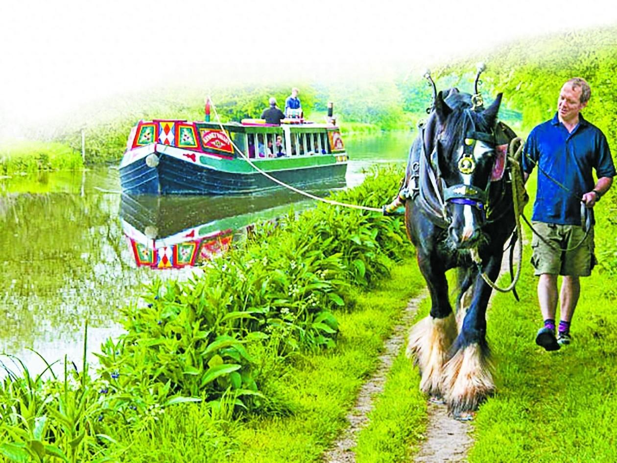 马拉船成英国时尚旅游交通工具，带你穿越回百年前  第1张