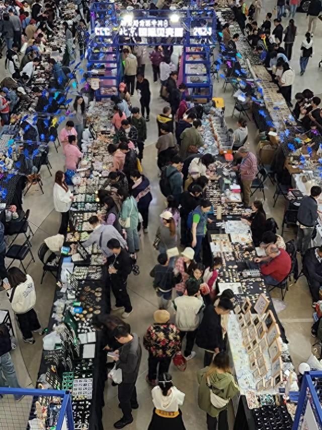最后一天！北京国际贝壳展，50 多家摊位，上千种贝壳，错过等一年  第1张