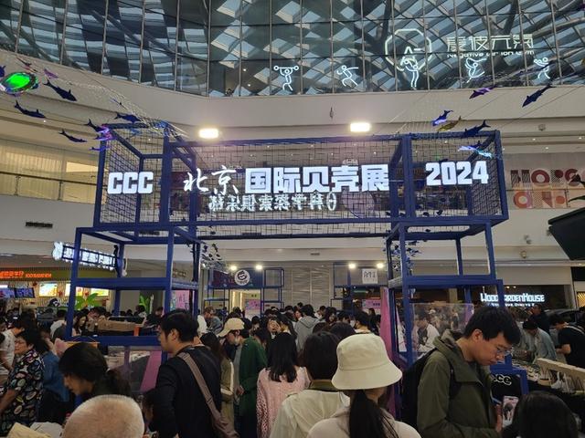 最后一天！北京国际贝壳展，50 多家摊位，上千种贝壳，错过等一年  第2张