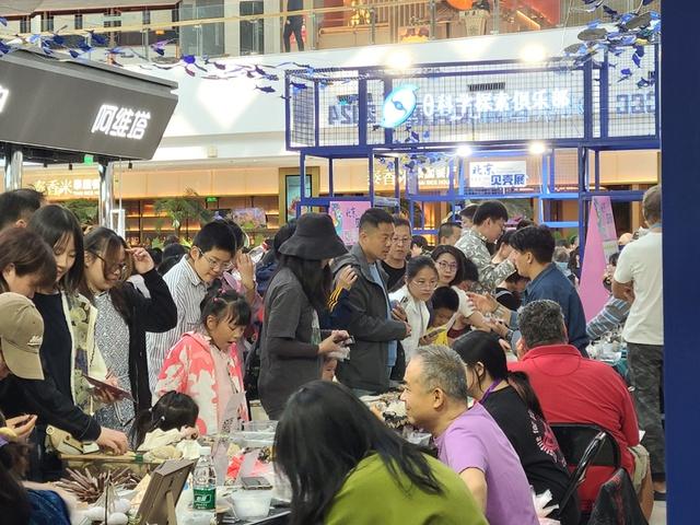 最后一天！北京国际贝壳展，50 多家摊位，上千种贝壳，错过等一年  第3张