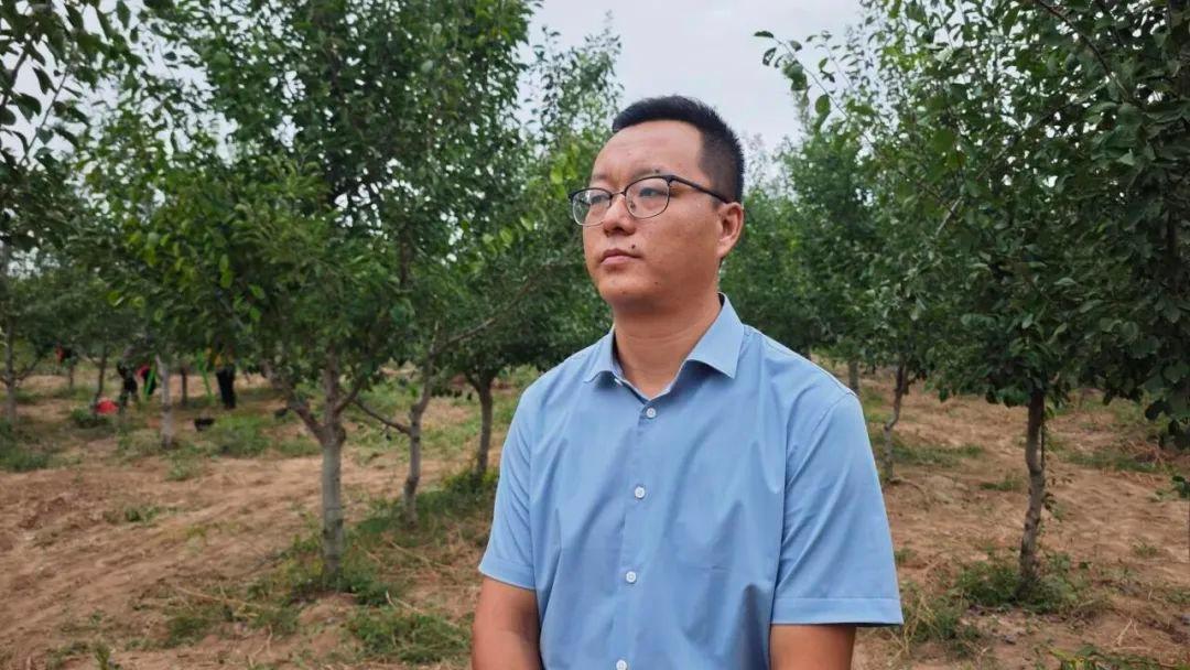 西梅成为驱动乡村经济增长的新引擎，你还在等什么？  第3张