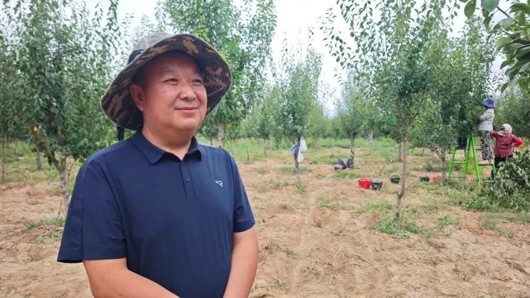 西梅成为驱动乡村经济增长的新引擎，你还在等什么？  第6张