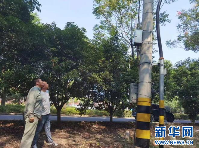 拿地即得供电方案，企业直呼太方便！荆州供电公司这波操作厉害了  第2张