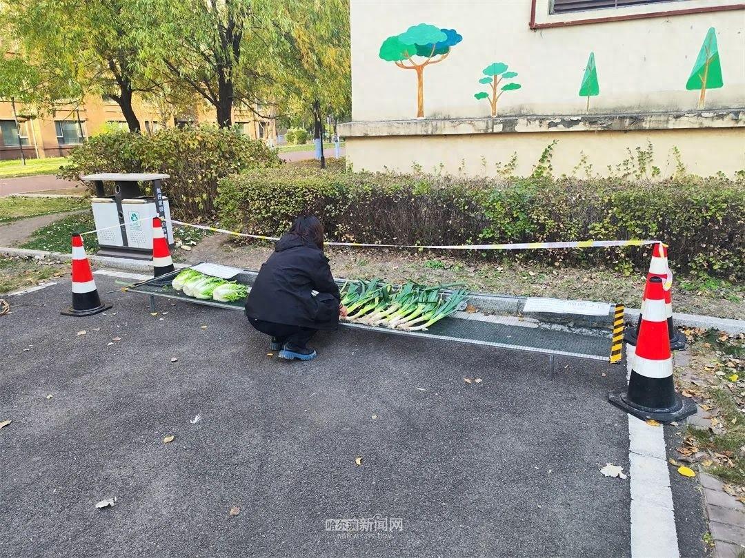 秋菜晾晒不再愁！鲁商凤凰城物业设置专用区，居民好评如潮  第1张