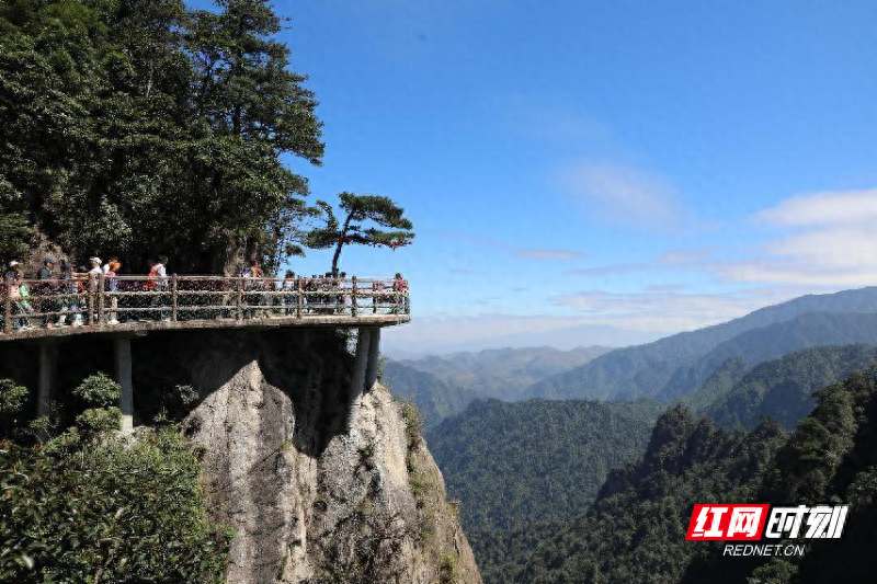 国庆假期，宜章县文旅市场多点开花，莽山旅游区火爆出圈  第1张