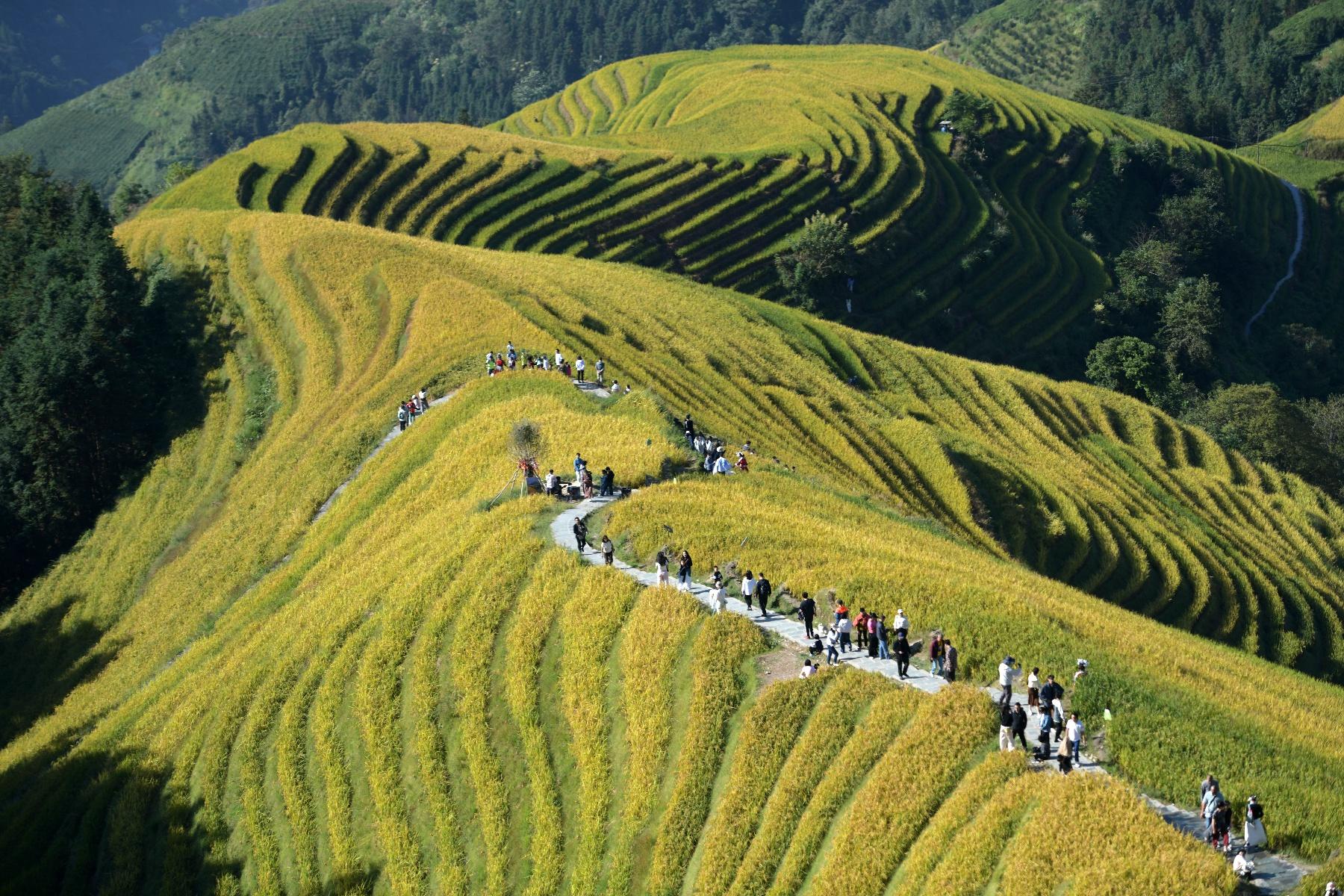 国庆游龙胜：山水如画，梯田似诗，民俗如歌，美食诱人  第3张