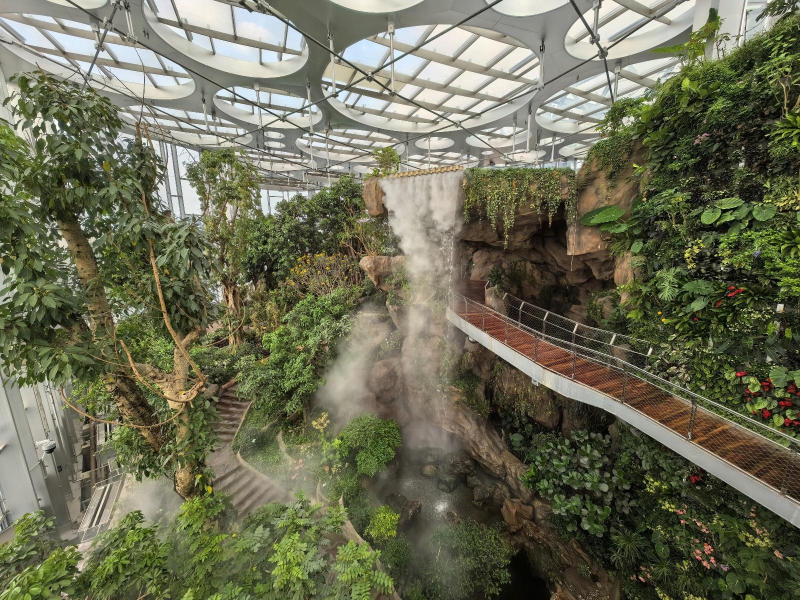 1300 多种植物！上海温室花园对外开放，带你领略三大主题场馆的神奇魅力  第6张