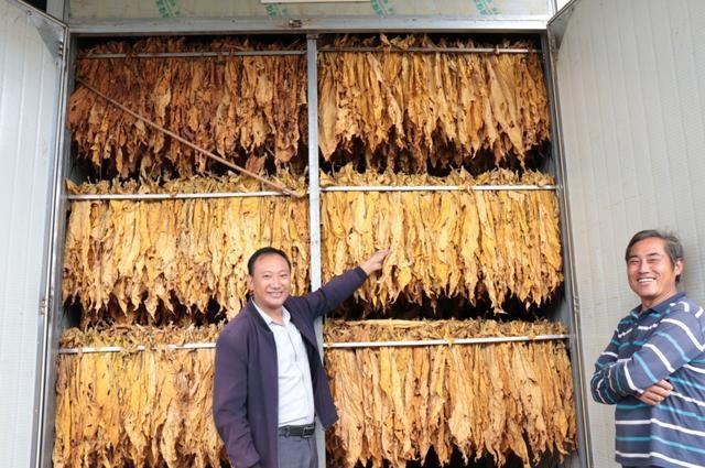 房县烟草专卖局竟然这样保障特色优质烟叶原料供给  第2张