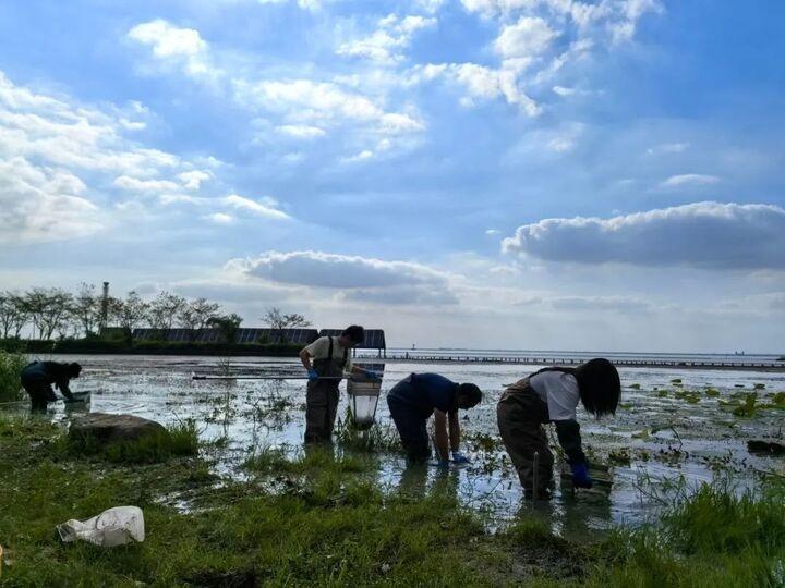 扑通一声，江苏启动 2024 年全国水生生物补充调查工作  第4张