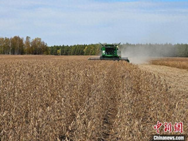北大荒集团再创历史新高！9.2 万亩大豆全面告捷，单产突破 598 斤