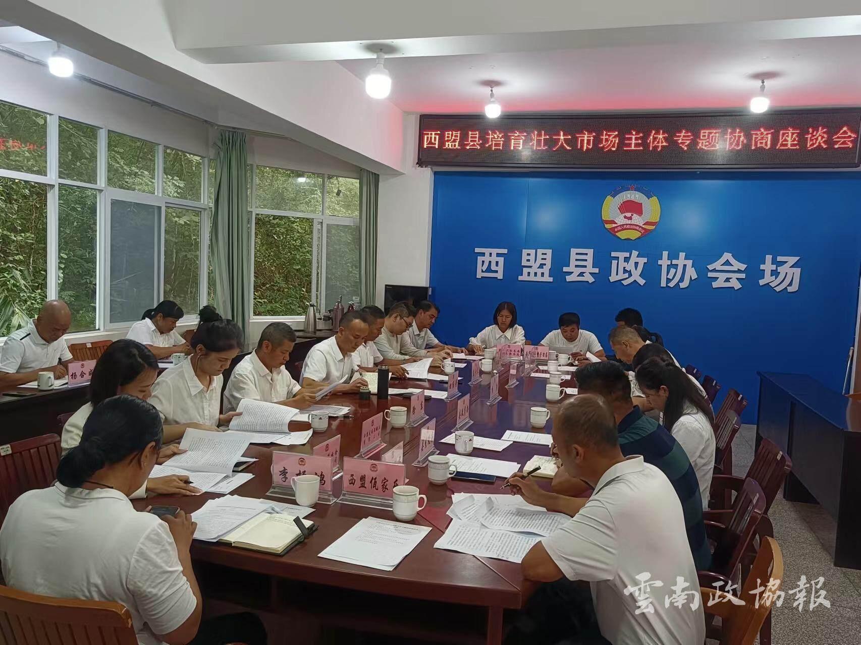 西盟县政协召开座谈会，为培育壮大市场经营主体出谋划策  第2张