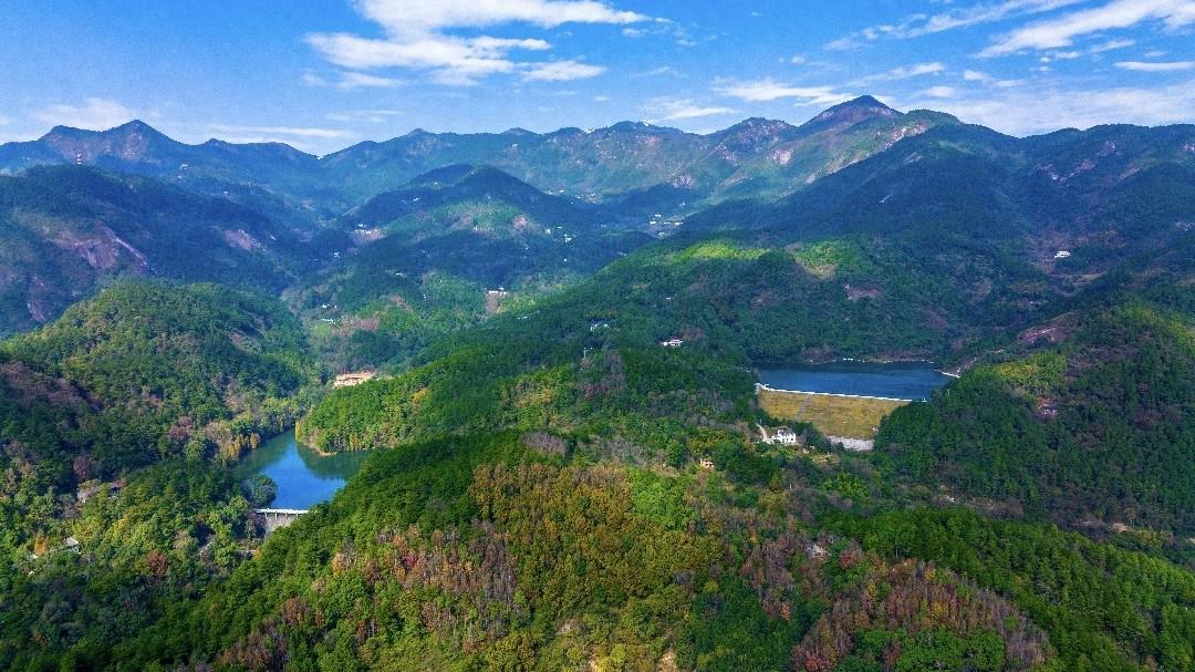长胡子的蛙类现身南岳衡山，你见过吗？  第1张