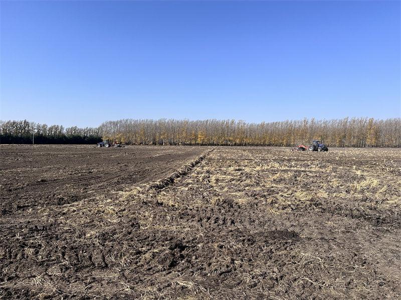北大荒七星分公司：秋收热潮与高标准农田建设同步推进，你还在等什么？  第2张