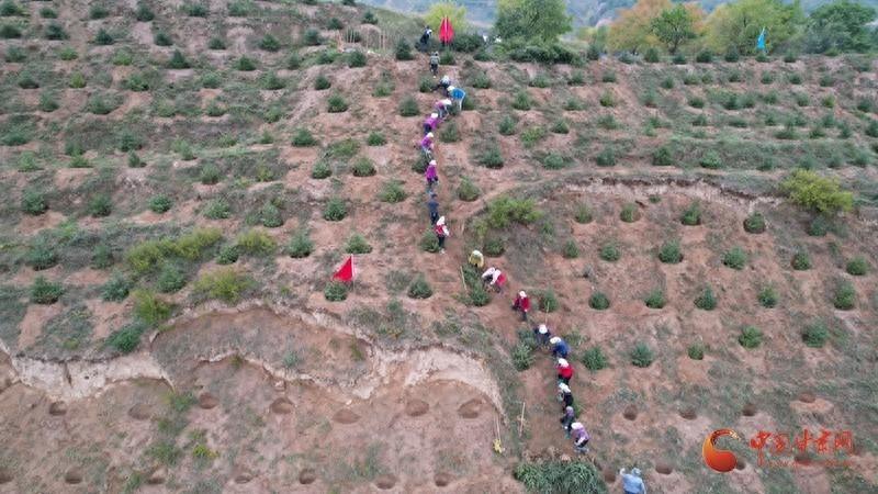 静宁县：抢抓有利时机，为大地再添新绿  第1张