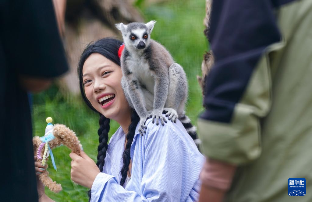 国庆假期云南文旅业再创假日旅游新高，你贡献了多少？  第2张