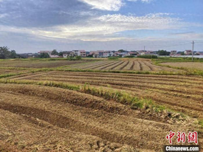 湖南永州：秋冬种正当时，田间地头忙不停