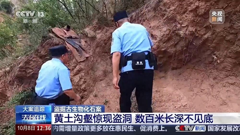数百米长深不见底的大洞惊现黄土沟壑，背后隐藏着什么秘密？  第1张