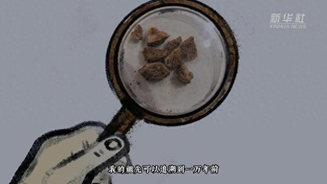 水稻种子的传奇一生：从一万年前到现代，见证中华文明的演进