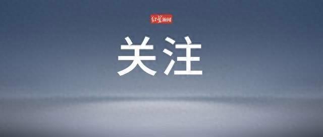 惊！上门遛狗竟被咬伤，17 万赔偿责任谁来担？