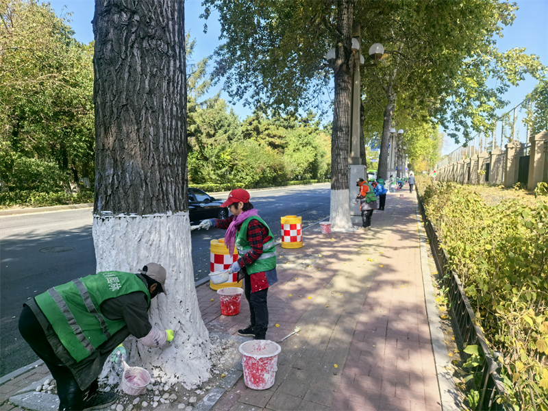 国庆假期，长春绿化一线工作者坚守岗位，全力做好城市绿化养护管理工作  第2张