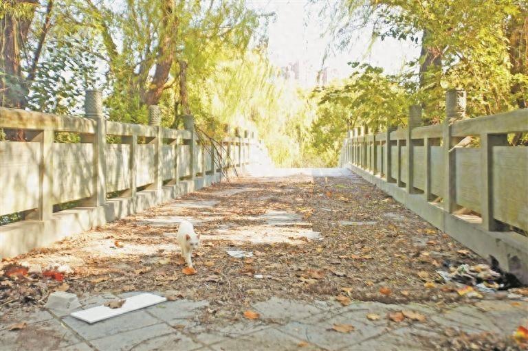 九莲塘公园老年活动中心关闭 5 年，相关部门：正在重新规划，尽快启动施工