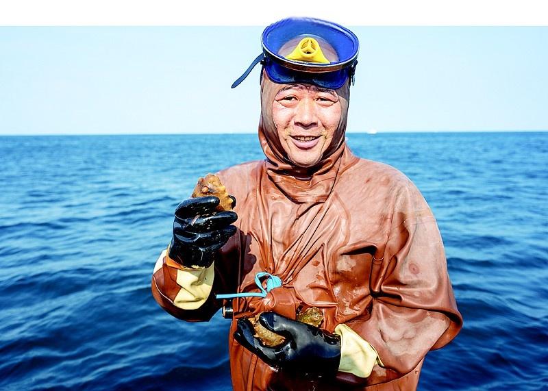 野生海参冬捕节盛大启幕，30 余艘渔船破浪前行，带你直击獐子岛海参捕捞现场  第2张