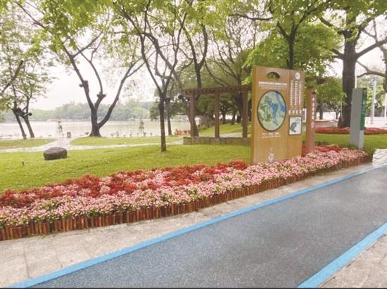 边角料变身口袋公园，惠州顶流绿道背后的城市管理智慧  第2张