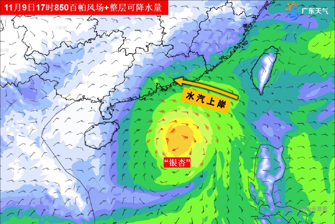 立冬了还这么暖？深圳今年的天气咋回事  第2张