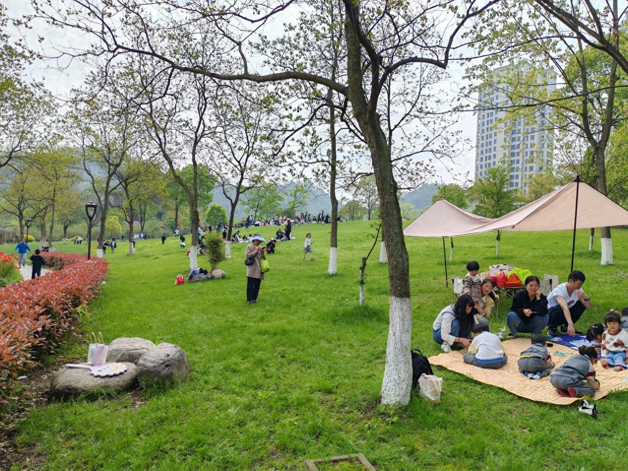 不用远行！家门口的公园绿地，让你轻松享受诗与远方