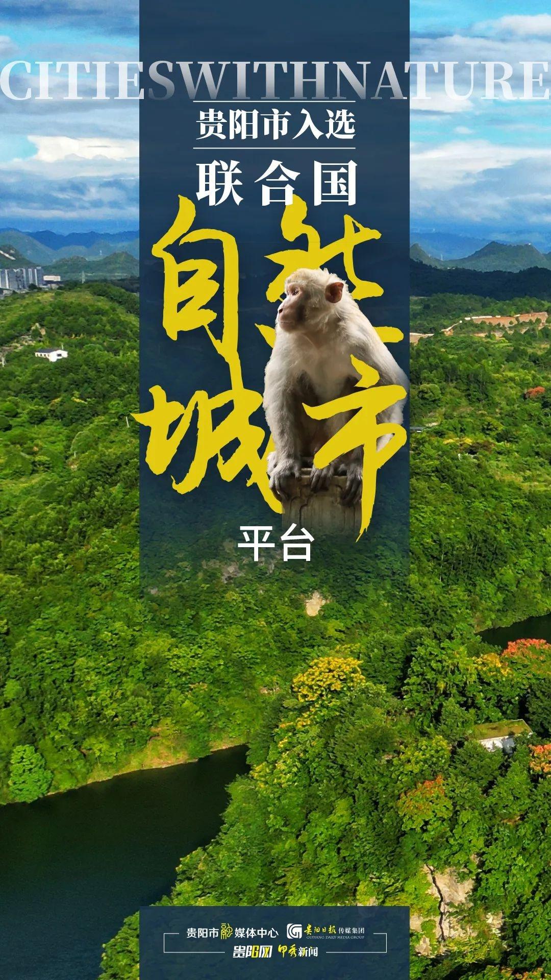 贵阳市入选自然城市平台，成为贵州首个获此殊荣的地级市  第4张