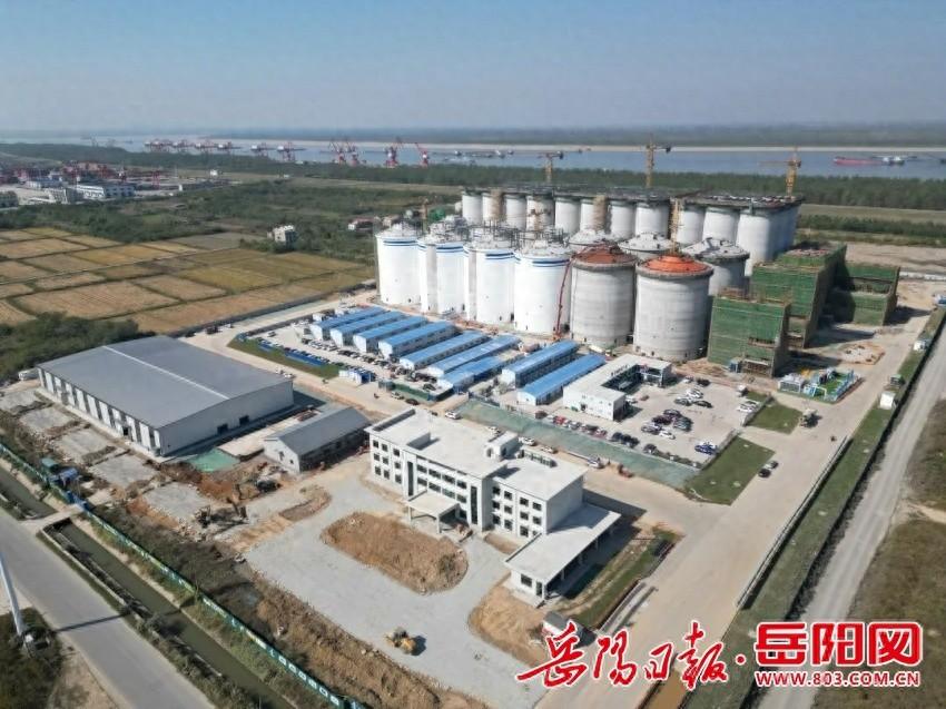 立冬时节，进口农产品仓储加工物流园项目建设如火如荼  第1张