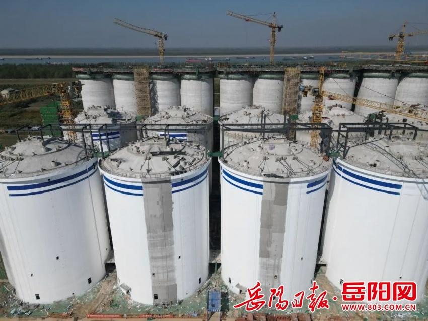 立冬时节，进口农产品仓储加工物流园项目建设如火如荼  第2张