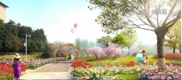 7 个主题专类花园正在建设！明年春天，古黄河公园将姹紫嫣红开遍  第3张