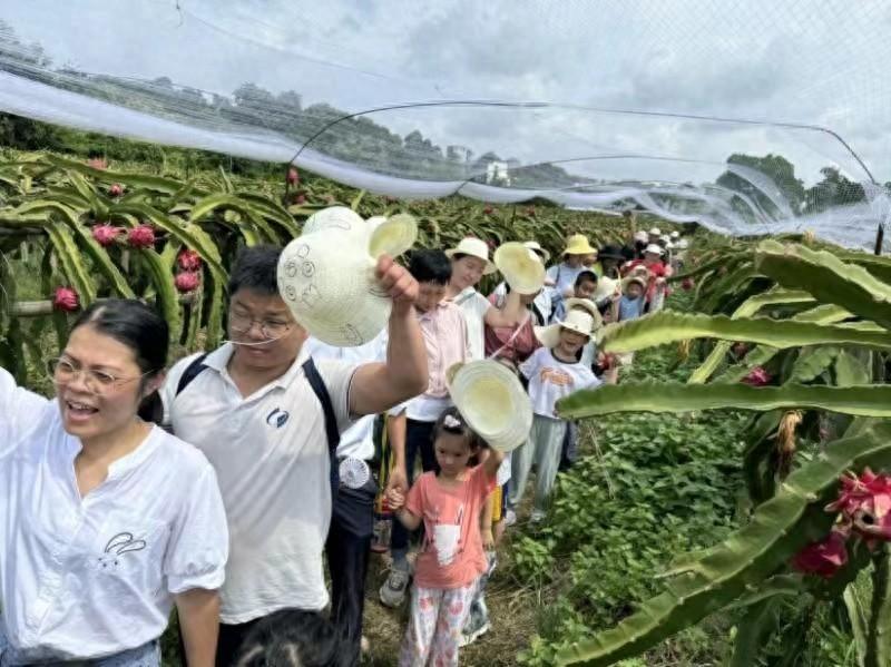 12 场活动！大磡社区这样提升居民幸福感，你还不来看看？  第1张