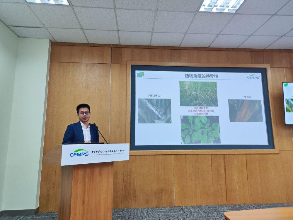 抗病孙悟空如何被激活？植物免疫激活新机制揭示  第2张